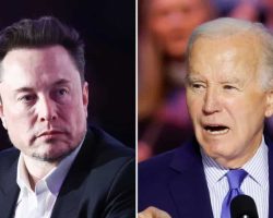 Elon Musk: Biden opened border gates so Democrats can remain in power