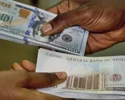 If you are expecting Naira to be N400 to Dollar, you are  living in dream world – Moghalu